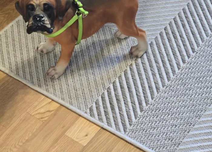 Mirador Del Pico Frentes Lejlighed